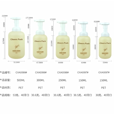500 ml PET-Mousse-Flasche für Mousse-Kosmetikprodukte Lotion Schrei Shampoo